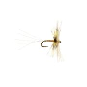 Barbless OE S/Circle Spin Yellow May Dun