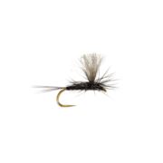 Barbless OE Iron Blue Dun Paradun