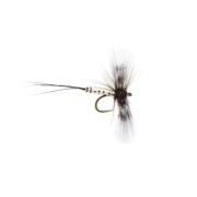 Barbless OE Greendrake Spent Spinner