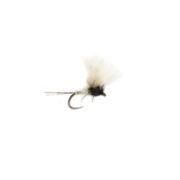 Barbless McPhail CdC Caenis