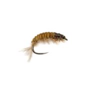 Barbless OE Hydropsyche Larva V2