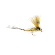 Mohican Mayfly