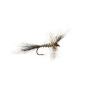 McPhail Grey Wulff