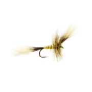 McPhail Olive Wulff