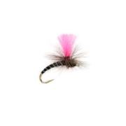 OE Pinkhammer