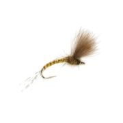 KJ Olive Emerger