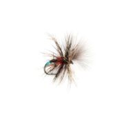 McPhail Grunter Bibio
