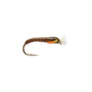 Two Tone Buzzer Olive