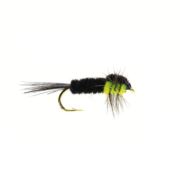Green Fluorescent Montana