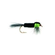 Green Fluorescent Weighted Montana