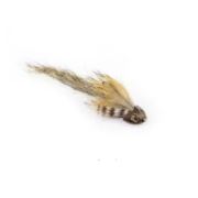 Brown Sculpin