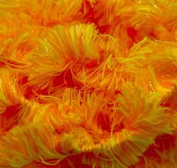 Upavon Two Tone Blob Chenille 15mm - Sunburst (Yellow/Orange)