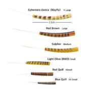 Veniards Ultra Mayfly Bodies
