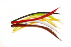 Veniards Turkey Biots